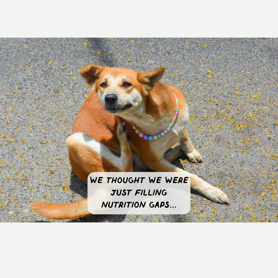 We Thought We Were Just Filling Nutrition Gaps…