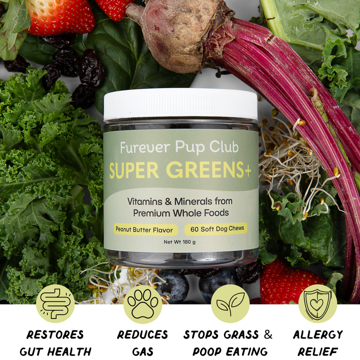 Super Greens + Allergy